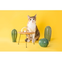 Irresistible Gamelle Pour Chat Design Outerspace My Zoo