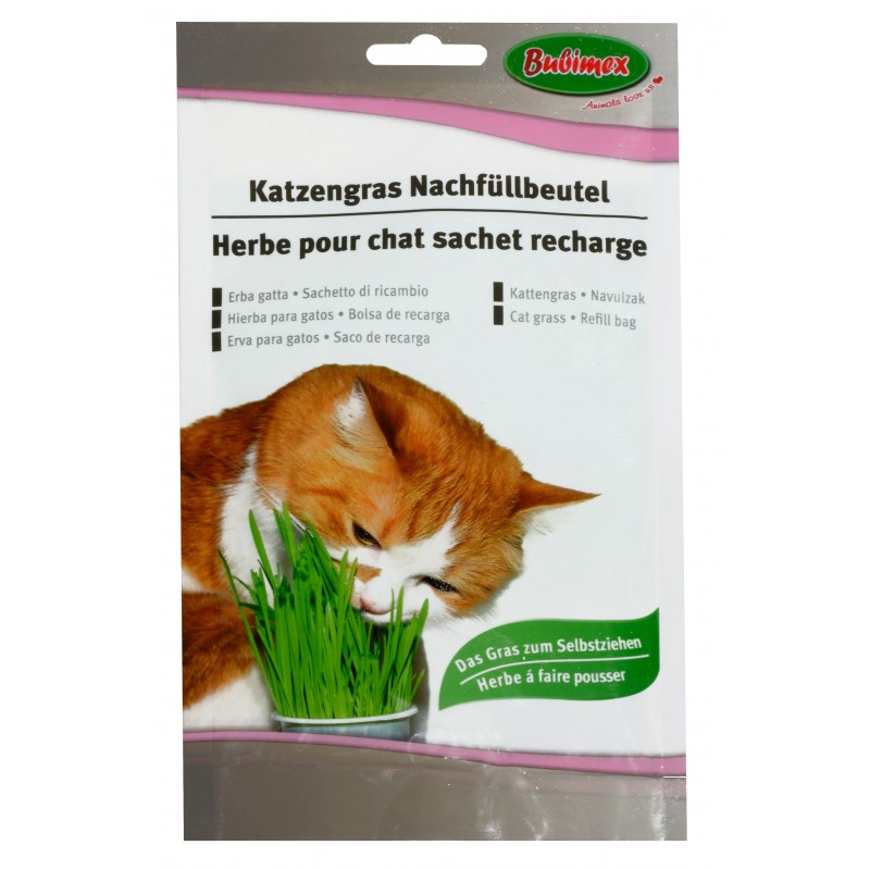 Spray herbe à chat  Chien Chat et Compagnie