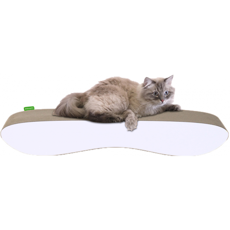 Grand Griffoir Pour Chat Style Et Design Wouapy