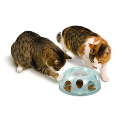 Gamelle Pour Chat Antiglouton Aider Votre Chat A Se Reguler