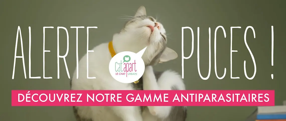 Animalerie pour chat : Spray anti-griffures