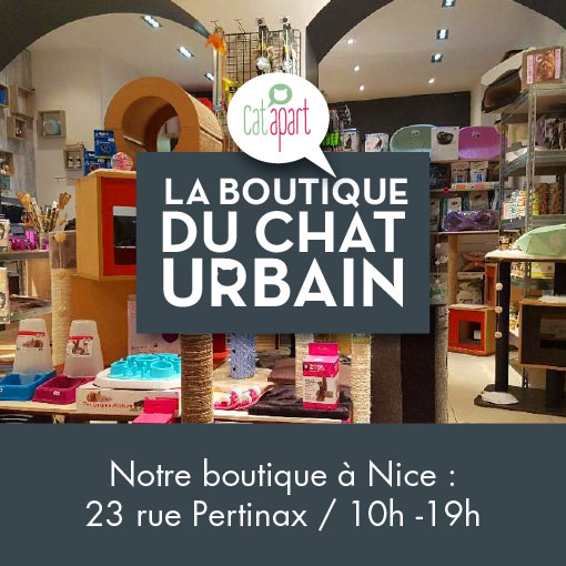 La Boutique du Chat Urbain à Nice